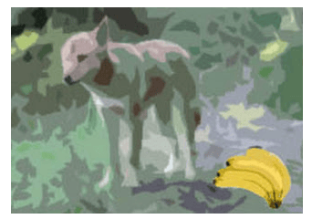 Il dingo e la&nbsp;banana